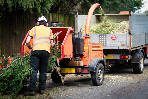 Lawn Drainage Solutions in New Carrollton, MD