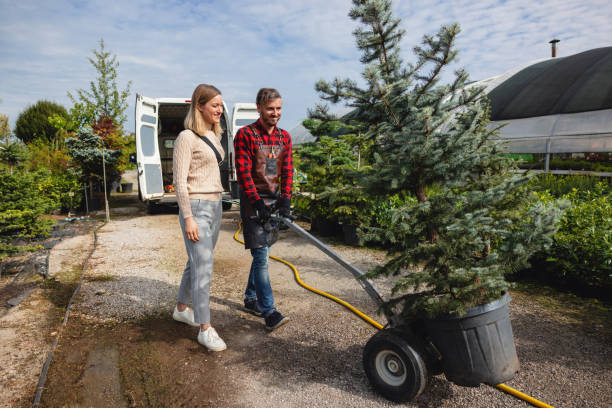 Best Commercial Tree Services  in New Carrollton, MD